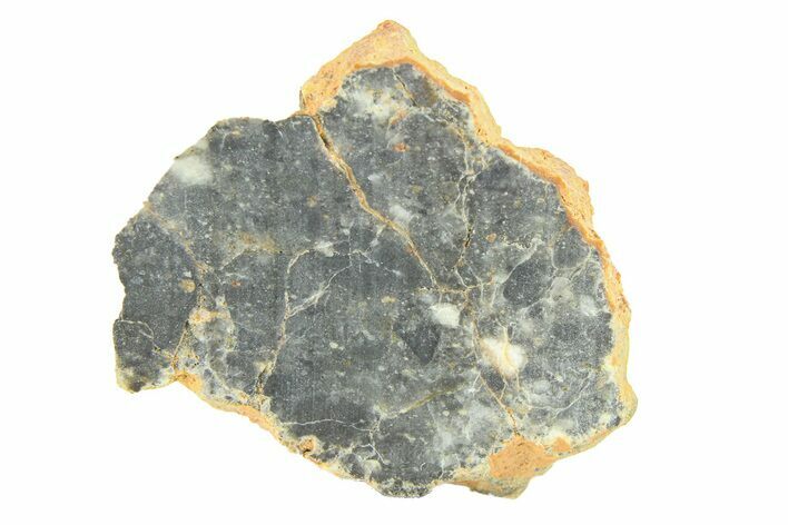 Lunar Meteorite ( g) Slice - Bechar #291706